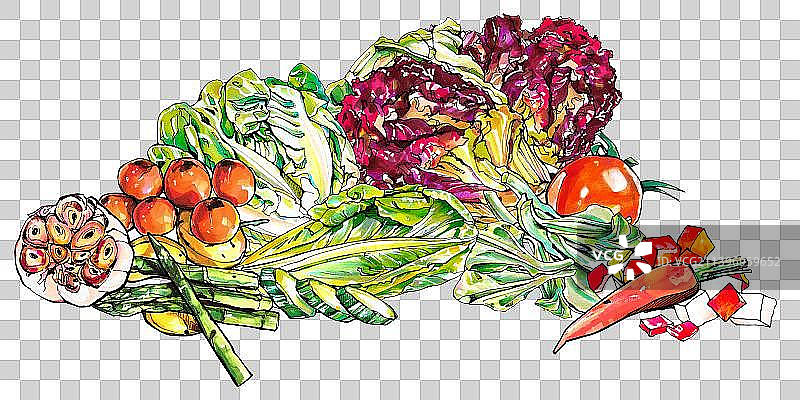 生菜 水果 蔬菜 有机 食物图片素材