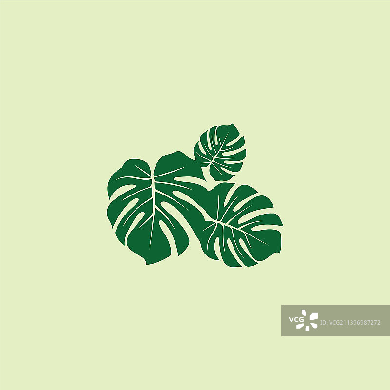 龟背竹叶logo设计图片素材