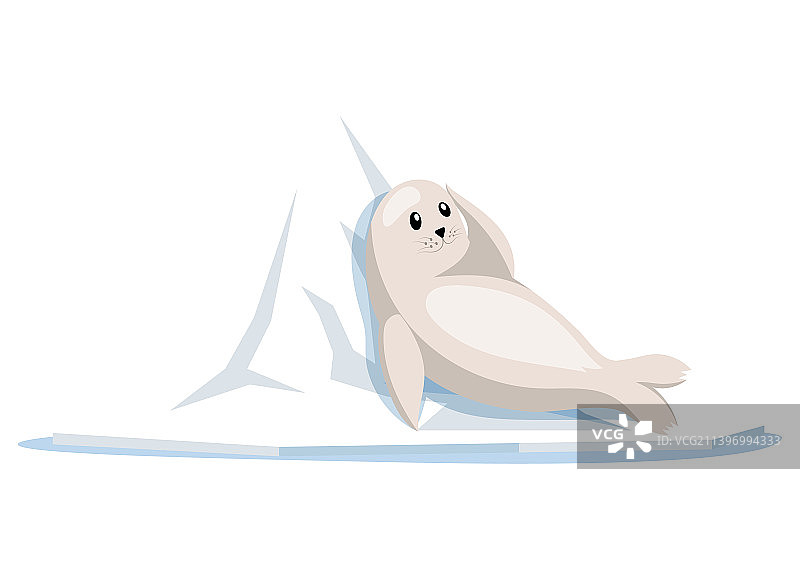 躺在浮冰上休息的小海豹图片素材