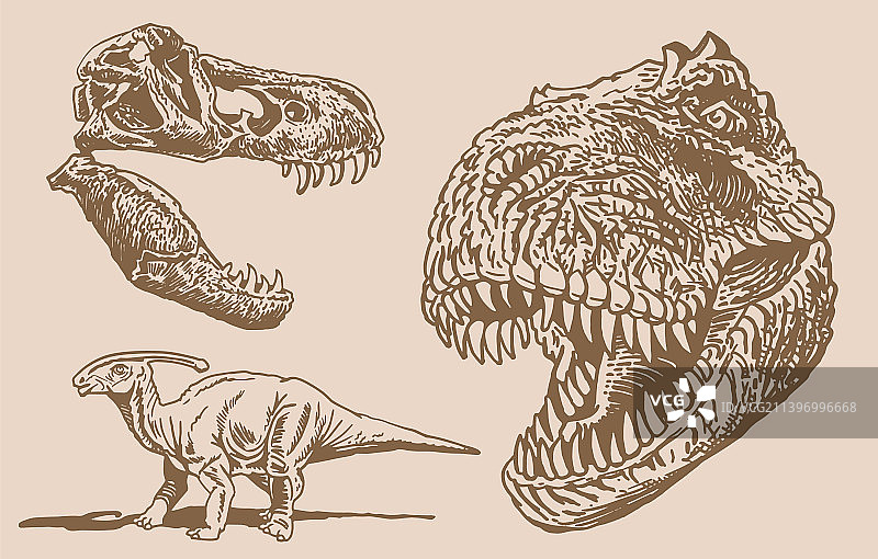 复古恐龙图形合集图片素材