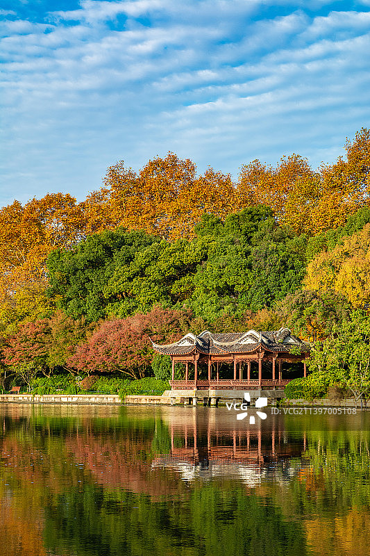 绿水芙渠 江南园林风光 杭州西湖风光 西湖秋景 秋天 秋林图片素材