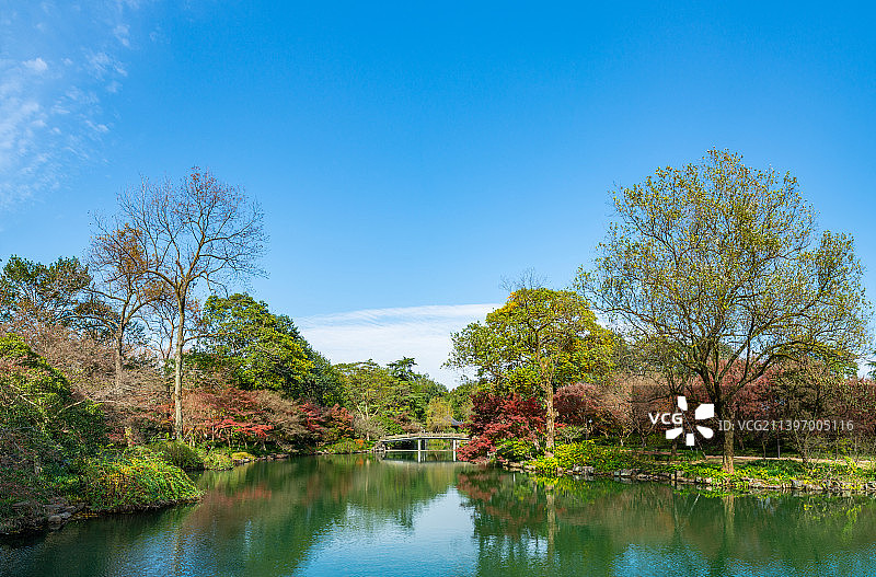 花港公园秋景 树林 江南园林风光 杭州西湖风光 西湖秋景 秋天图片素材