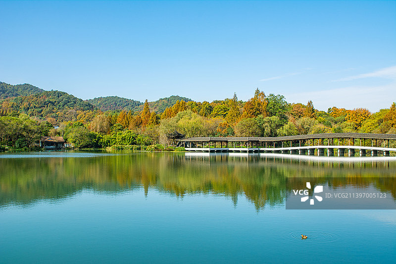 江南园林 杭州西湖风光 西湖秋景 秋天 浴鹄湾 西湖山水图片素材