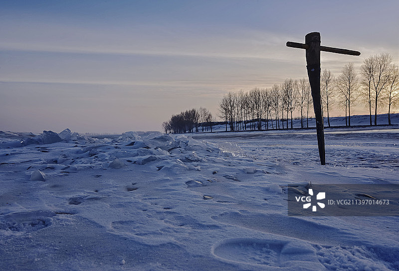 挺立不老的传说图片素材