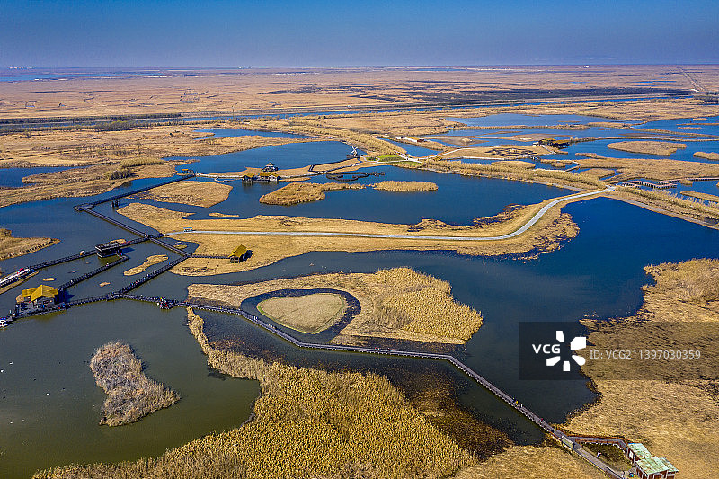 杭州湾湿地公园图片素材