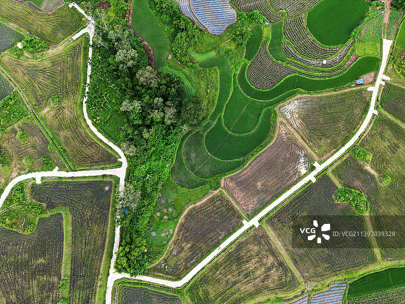 高视角下的乡间道路图片素材