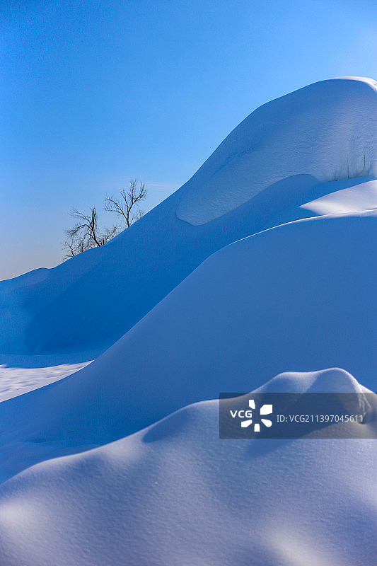 长春净月潭图片素材