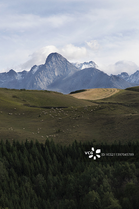 田园风景画（3）图片素材