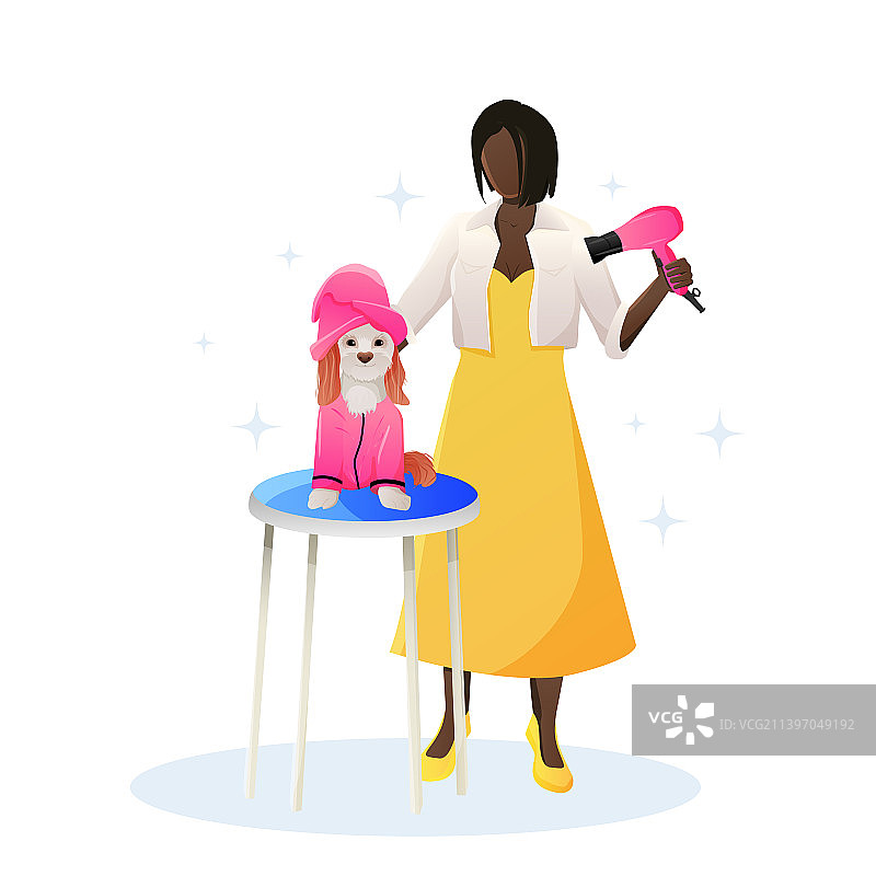 女孩为查理王小猎犬犬烘干毛发图片素材