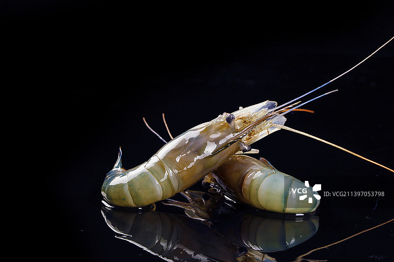 黑底上放着罗氏虾图片素材