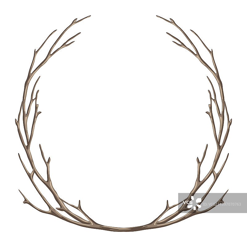 装饰性枯枝框架图片素材