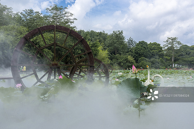 广西南宁青秀山风景区荷花池图片素材