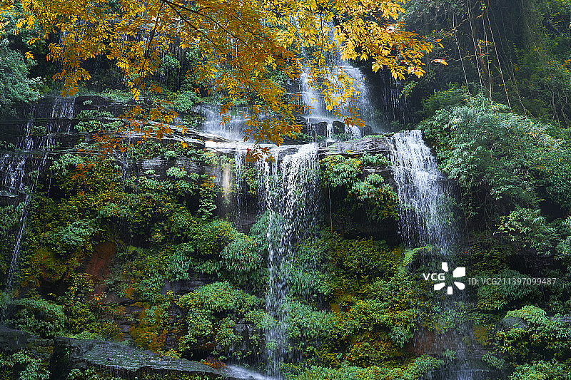 天台山森林瀑布图片素材