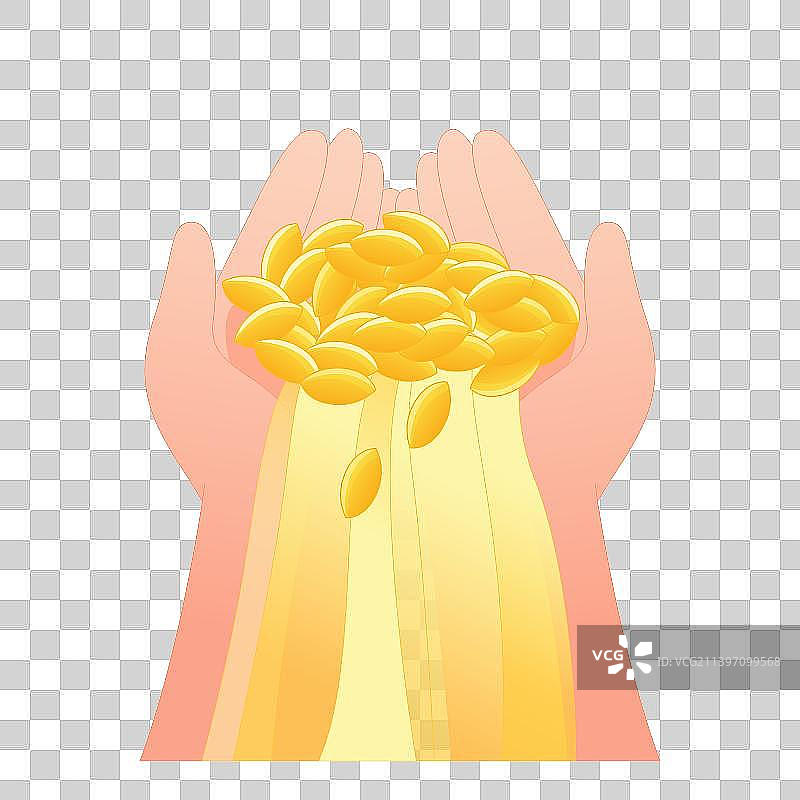 两手捧着麦穗矢量插画元素图片素材