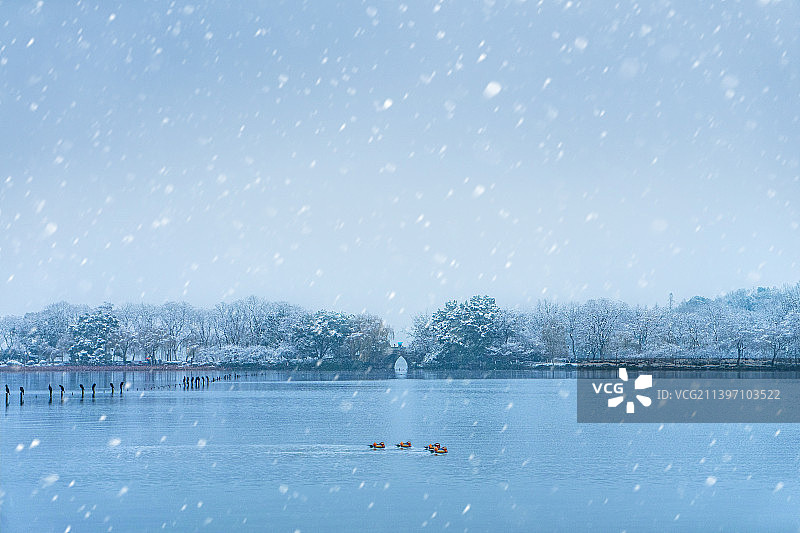 杭州西湖雪景图片素材