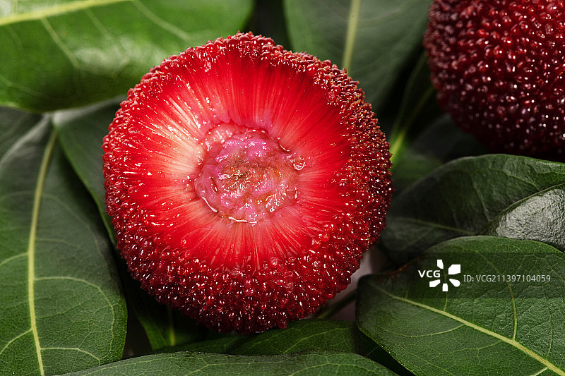 仙居杨梅图片素材