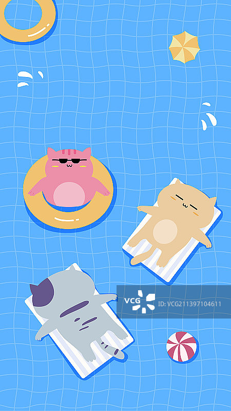 夏季猫咪在游泳池游泳放松图片素材