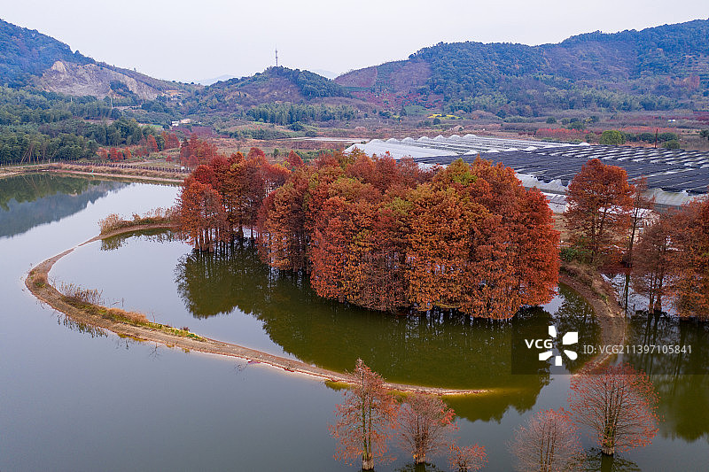 航拍中国浙江省宁波市麻岙水库秋景图片素材