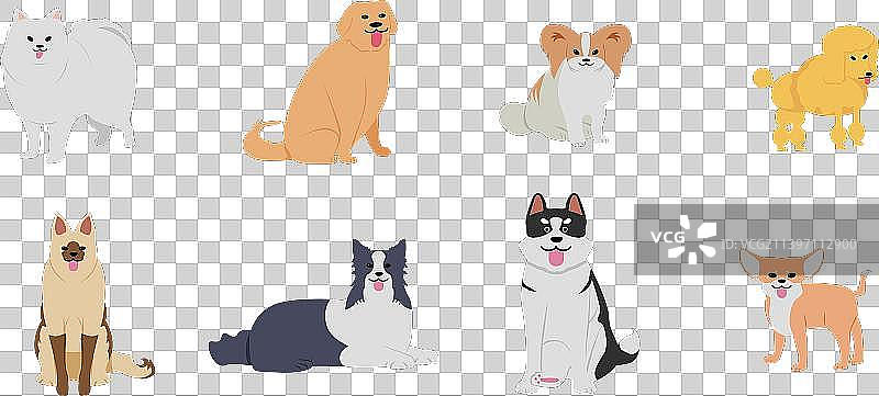 可爱的不同品种的小狗图片素材