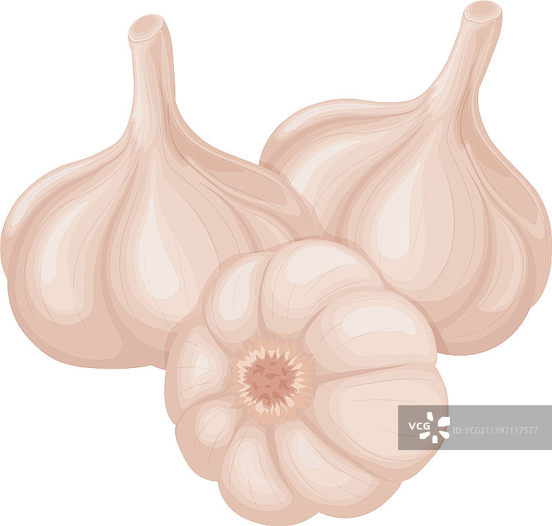蒜头维生素产品图片图片素材