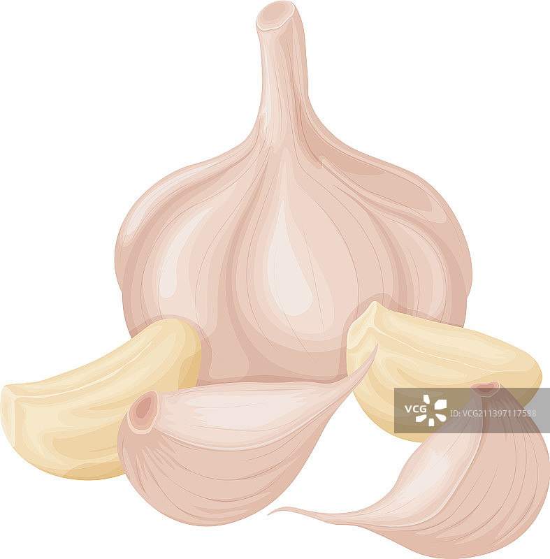 蒜头维生素产品图片图片素材