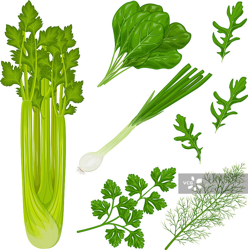 花园香草药材图片素材