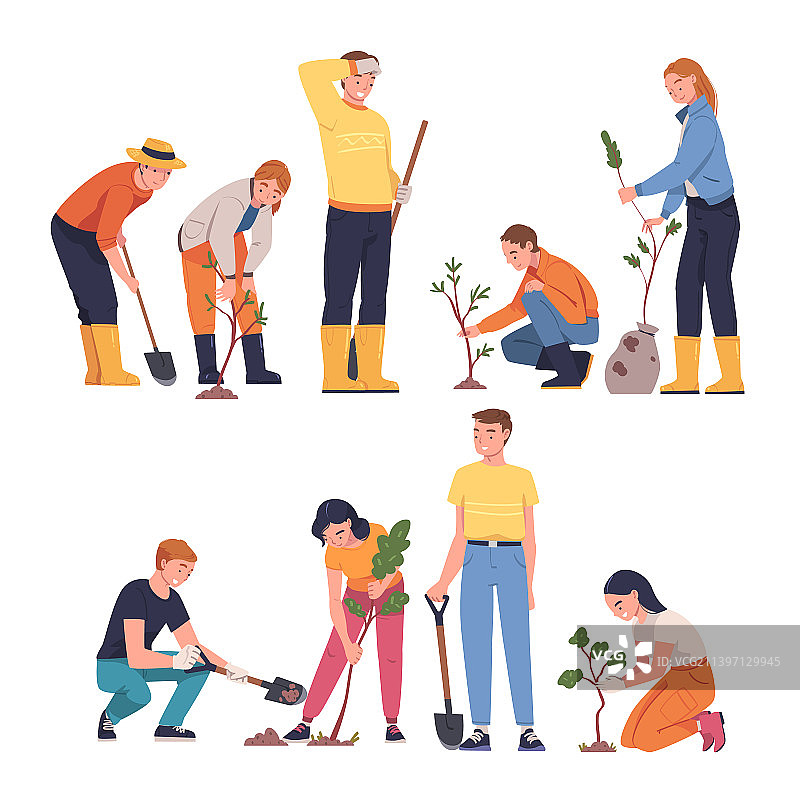 人们在土壤中种植树苗图片素材