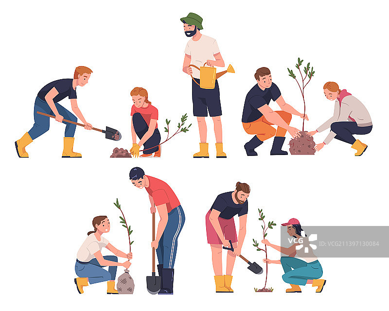 人们在土壤中种植树苗图片素材