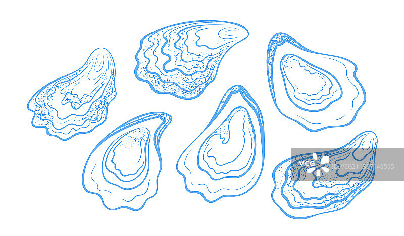 手绘纹理牡蛎合集图片素材