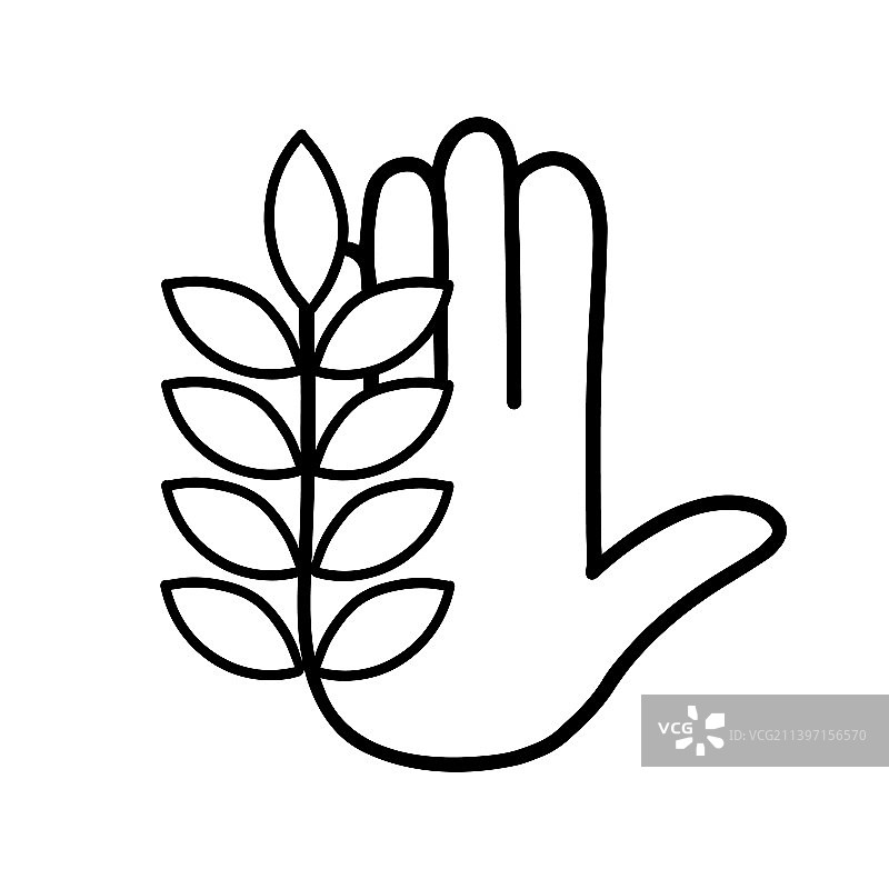 手持麦穗，小麦进出口图片素材