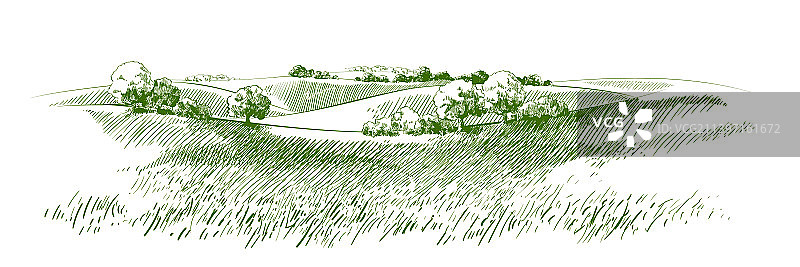 小山丘上的绿色草地素描图片素材