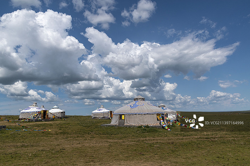 草原蒙古包图片素材