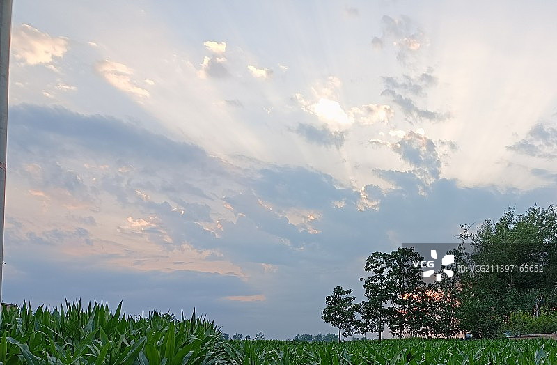 夏天的落日图片素材