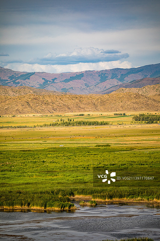 中国新疆北疆阿勒泰可可苏里的风光图片素材