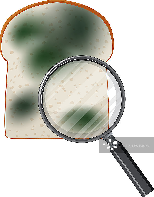 发霉的不可食用面包图片素材