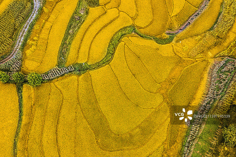 俯瞰秋色图片素材