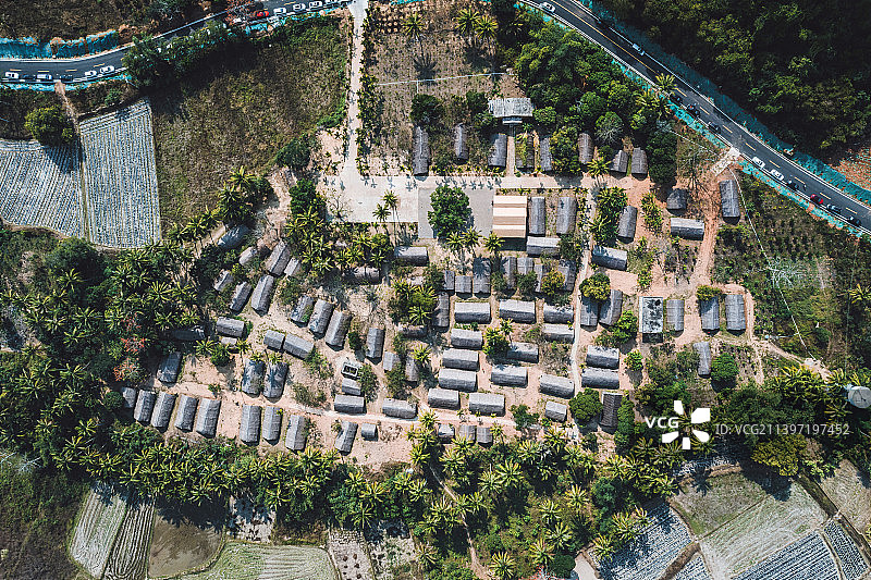 海南省东方市白查村、茅草屋、原始村落、航拍图片素材