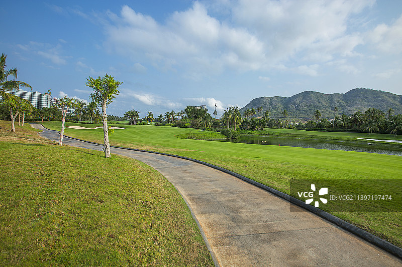 草坪、草地、热带、蓝天、天空、低视角、汽车广告、园林景观、云图片素材