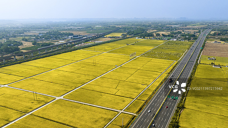 天府粮仓眉山永丰村图片素材