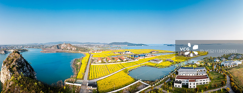 苏州太湖西山岛油菜花图片素材