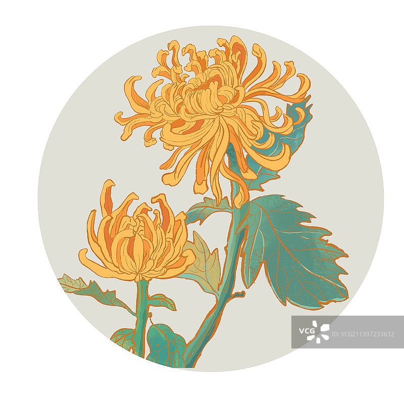 秋分仕女可爱的菊花秋季秋天国潮中国风插画图片素材