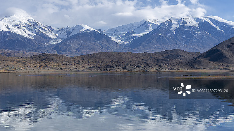 卡拉库里湖~湖里有不少野鸭，湖畔有3匹骆驼图片素材