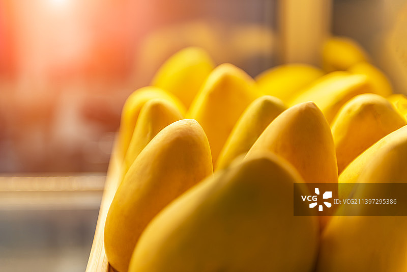 金黄色的熟透的芒果图片素材