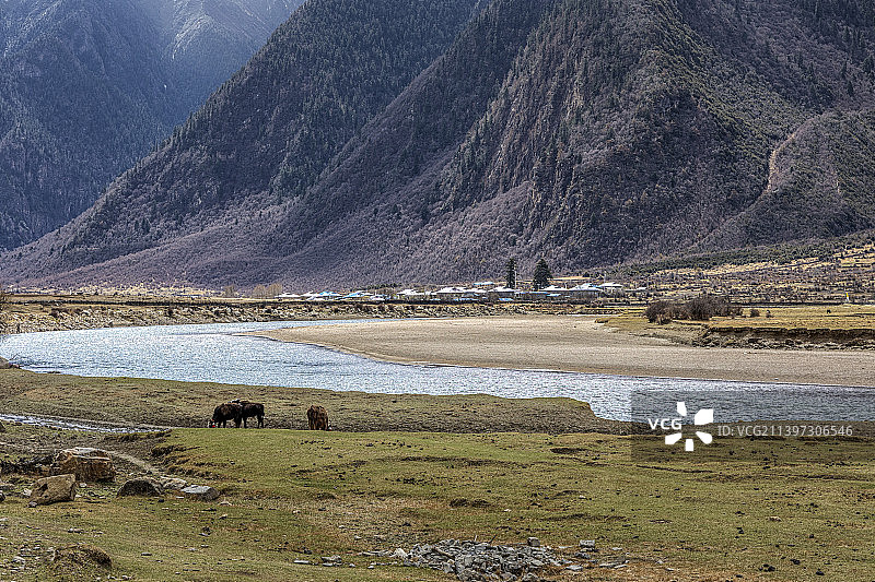 朱拉河国家湿地公园图片素材