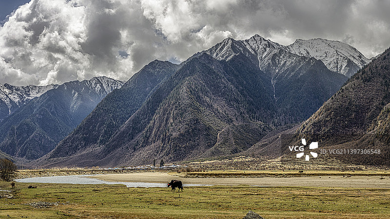朱拉河国家湿地公园图片素材