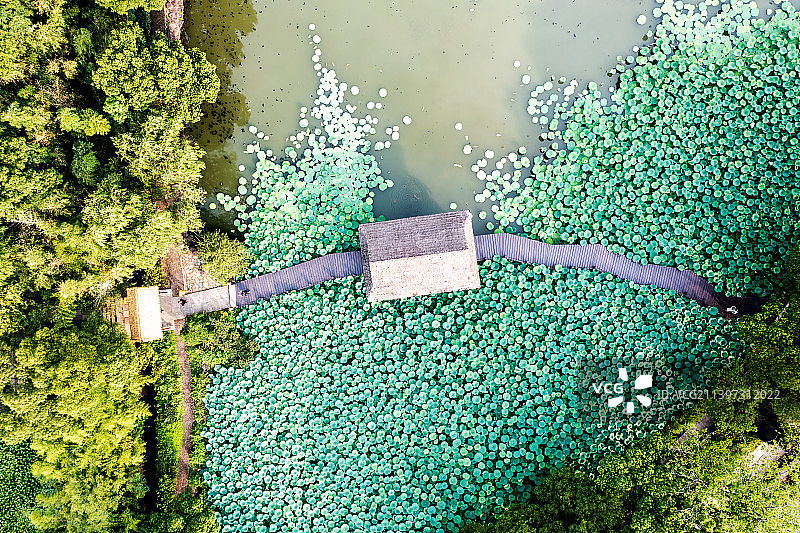 航拍绍兴兰亭景区鸟瞰图图片素材