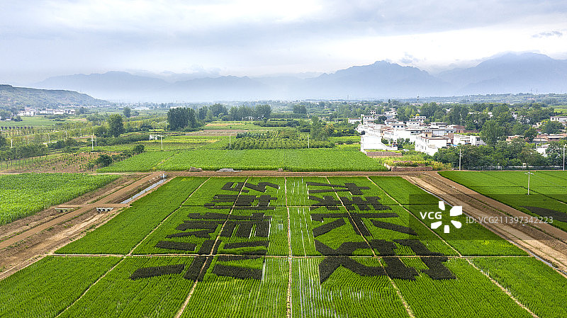 最美乡村图片素材