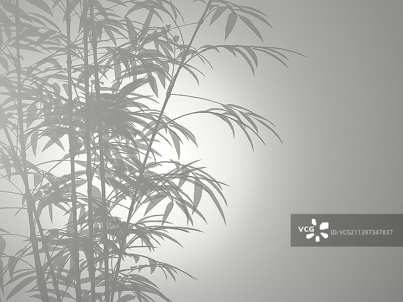 竹子的光影素材图片素材