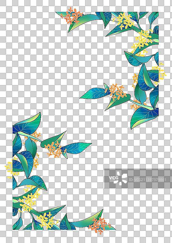 月桂和花图片素材