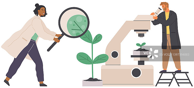 生物学家用显微镜研究植物细胞图片素材